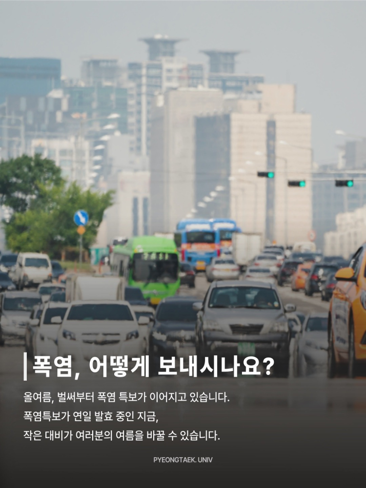 폭염 어떻게 보내시나요