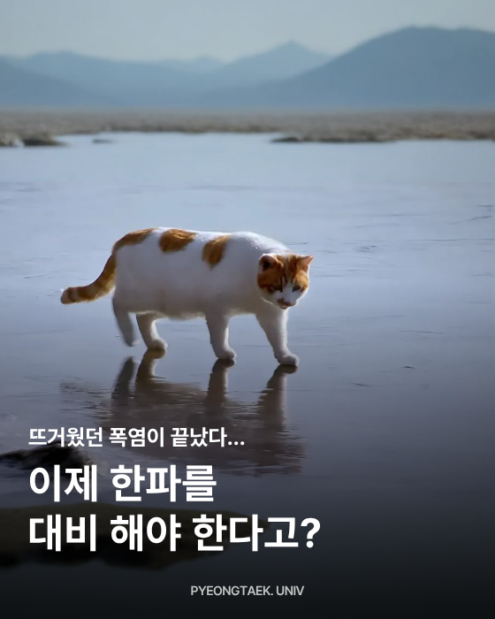 겨울철 주의 사항1