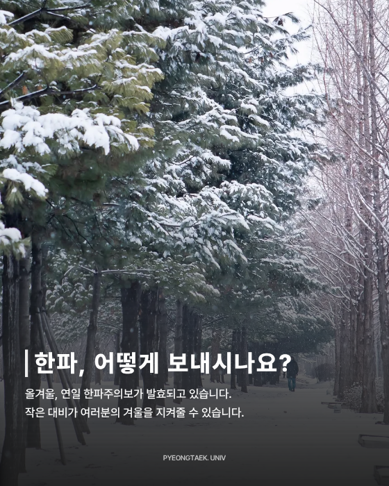 겨울철 주의 사항- 한파, 어떻게 보내시나요?