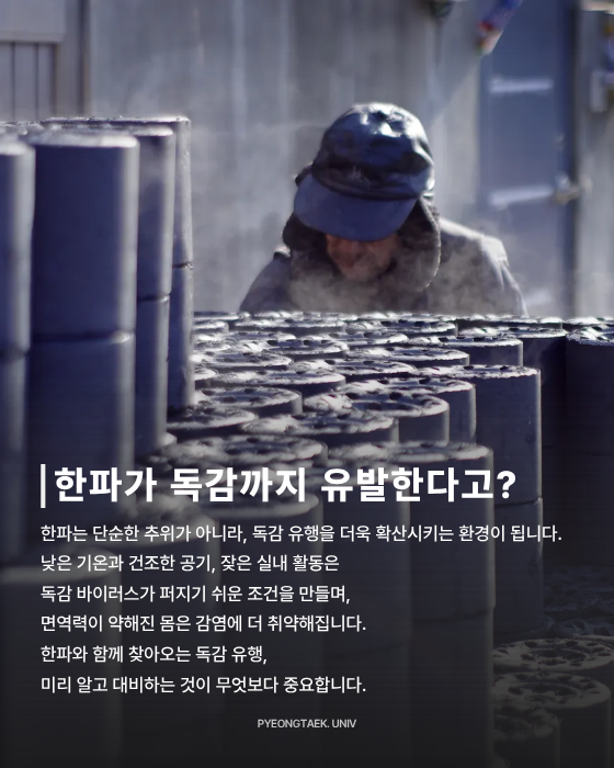 겨울철 주의 사항 - 한파가 독감까지 유발한다고?