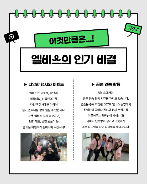 엘비스의 인기 비결