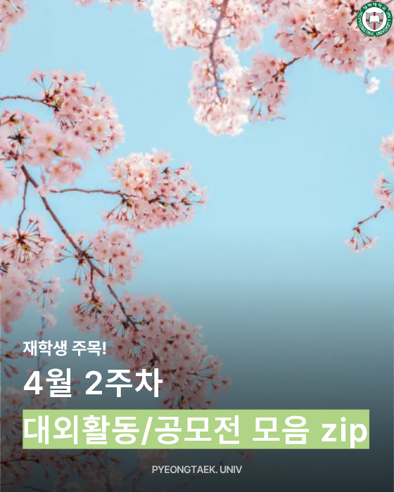 대외활동/공모전