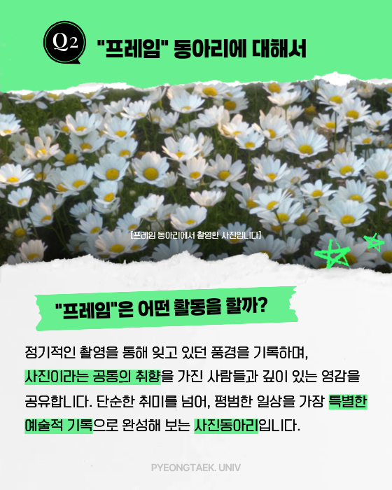 프레임은 어떤 활동을 할까?
