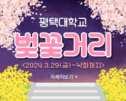 평택대학교 "벚꽃거리" 축제기간 : 3월 29일(금) ~ 4월 9일(화) 종료 대표이미지