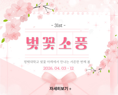 평택대학교 벚꽃 아래에서 만나는 서른한 번째 봄 
