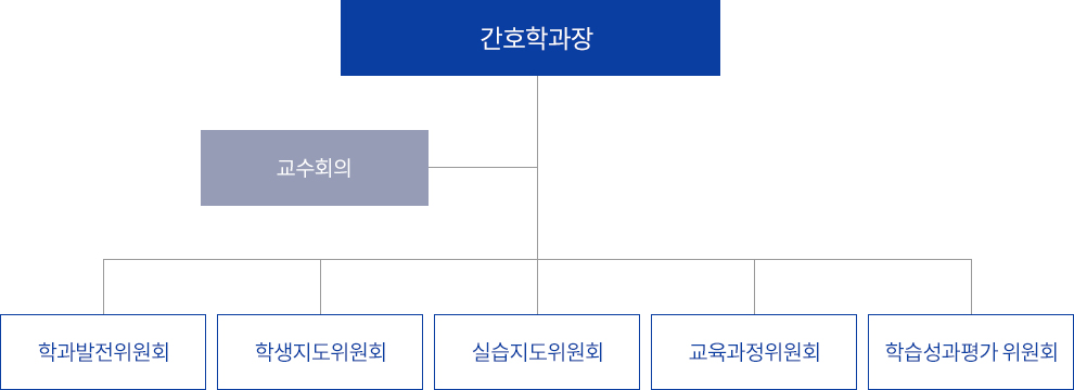 간호학과장 밑으로 교수회가 있고, 간호학과장 밑으로 학과발전위원회, 학생지도위원회, 실습지도위원회, 교육과정위원회, 학습성과평가위원회가 있다.